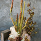 Woodland Planter Set of 4 By Accent Decor | Planters, Troughs & Cachepots | Modishstore - 49