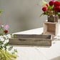 Woodland Planter Set of 4 By Accent Decor | Planters, Troughs & Cachepots | Modishstore - 54