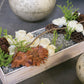 Woodland Planter Set of 4 By Accent Decor | Planters, Troughs & Cachepots | Modishstore - 56