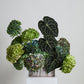 Oval Bark Basket Set of 4 By Accent Decor | Planters, Troughs & Cachepots | Modishstore - 8