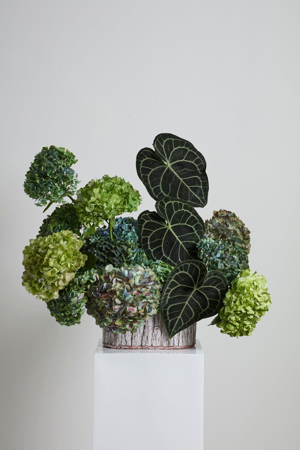 Oval Bark Basket Set of 4 By Accent Decor | Planters, Troughs & Cachepots | Modishstore - 8