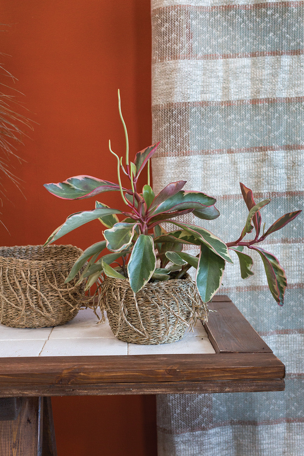 Ebba Basket Set of 4 By Accent Decor | Vases | Modishstore - 4
