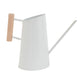 Preston Watering Can Set of 4 By Accent Decor | Stands | Modishstore - 6