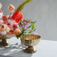 Lita Vase and Compote Set of 4 By Accent Decor | Vases | Modishstore - 11
