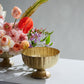 Lita Vase and Compote Set of 4 By Accent Decor | Vases | Modishstore - 17