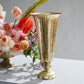 Lita Vase and Compote Set of 4 By Accent Decor | Vases | Modishstore - 29