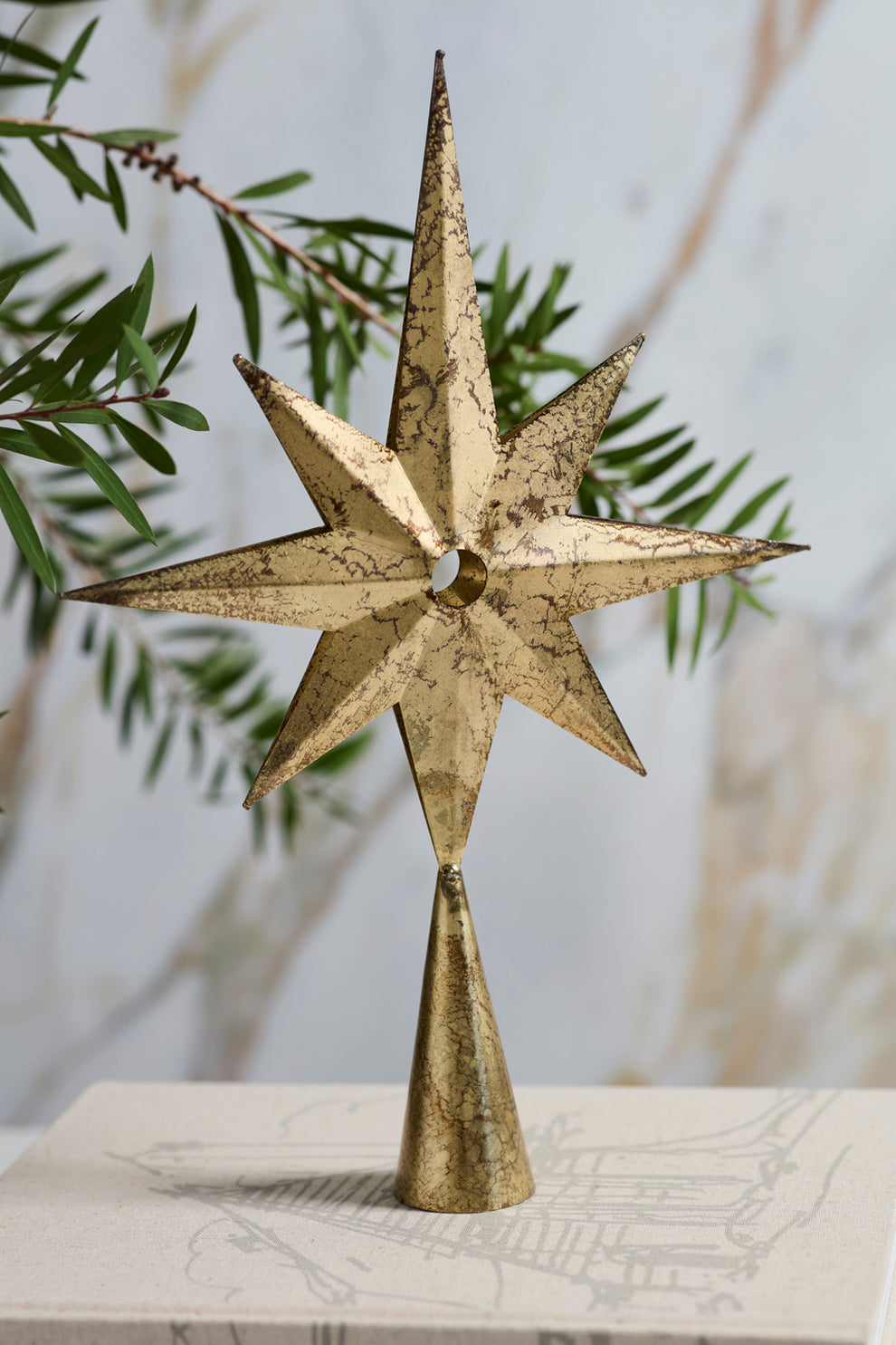 Starbright Decorative Object Set of 2 By Accent Decor | Planters, Troughs & Cachepots | Modishstore - 4