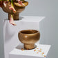 Cassio Compote Set of 4 By Accent Decor | Planters, Troughs & Cachepots | Modishstore - 4