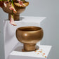 Cassio Compote Set of 4 By Accent Decor | Planters, Troughs & Cachepots | Modishstore - 6