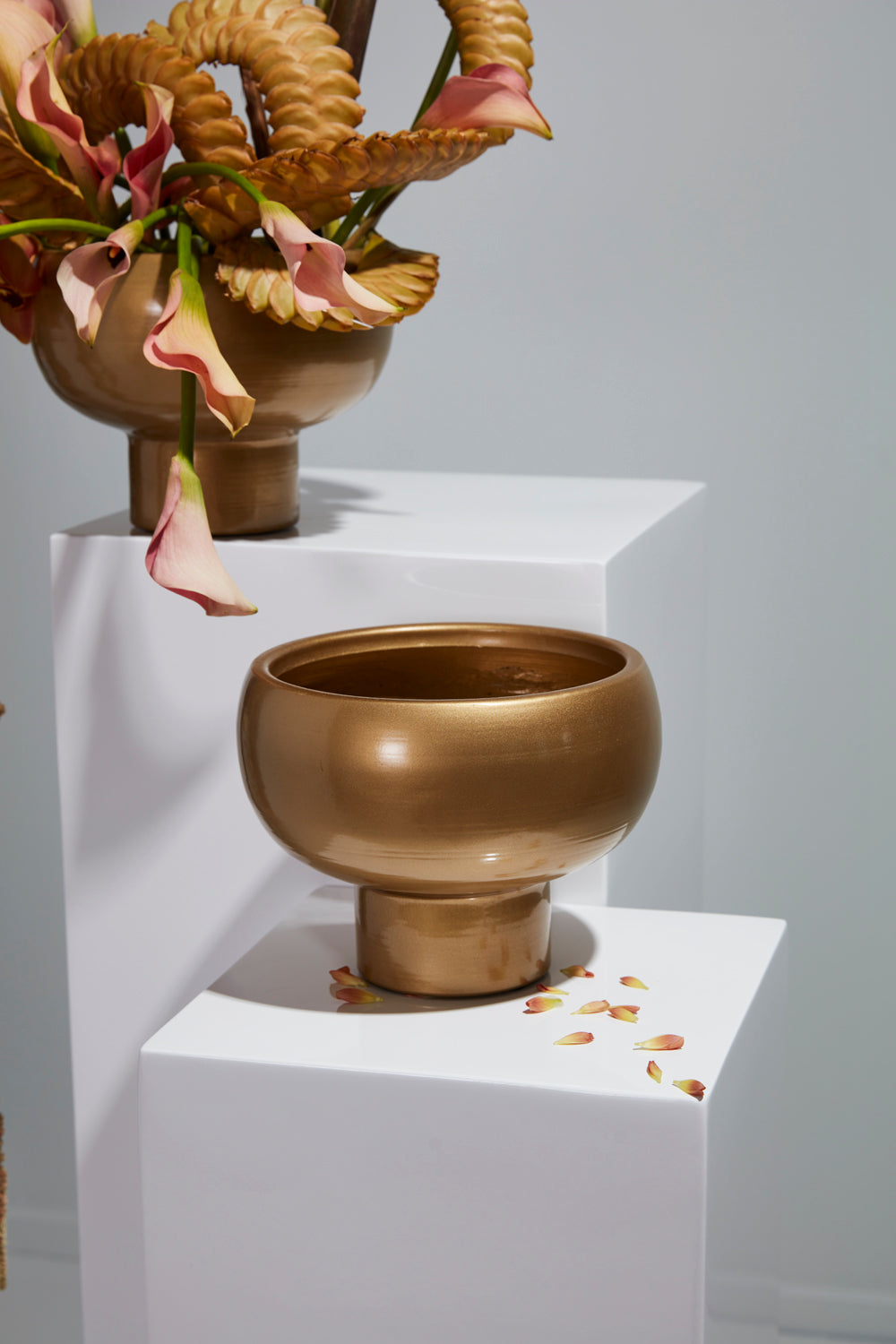 Cassio Compote Set of 4 By Accent Decor | Planters, Troughs & Cachepots | Modishstore - 6