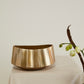 Helena Boat Set of 2 By Accent Decor | Decorative Bowls | Modishstore - 5
