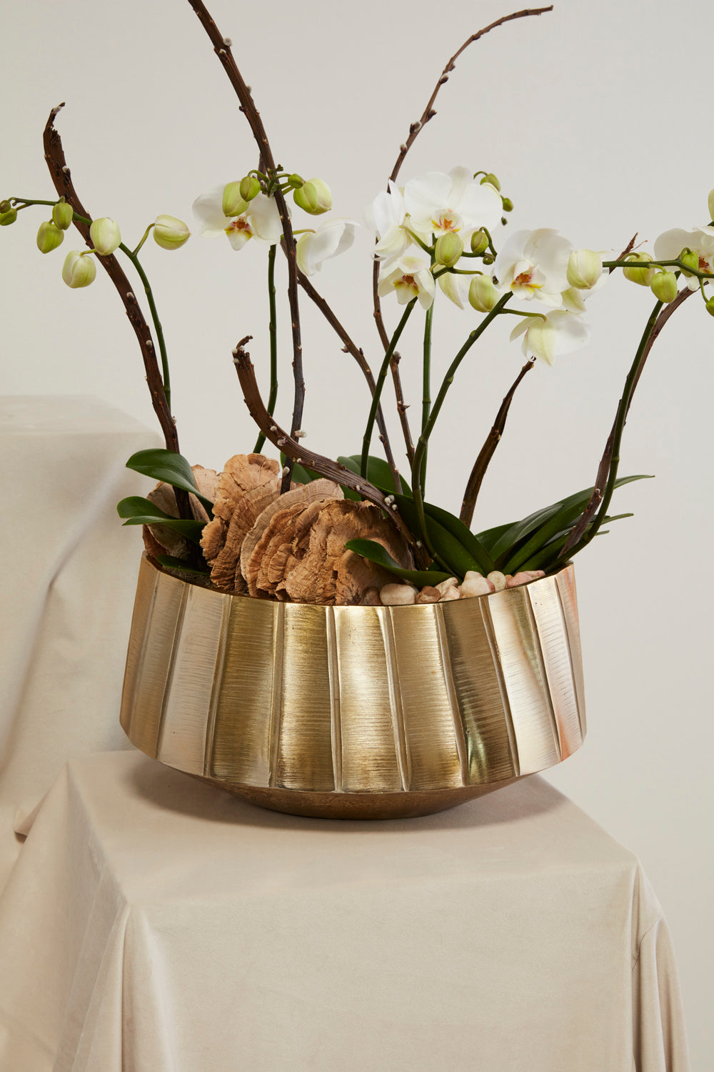Helena Boat Set of 2 By Accent Decor | Decorative Bowls | Modishstore - 7
