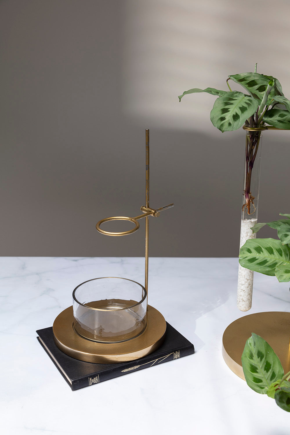 Mendel Collection By Accent Decor | Vases | Modishstore - 5