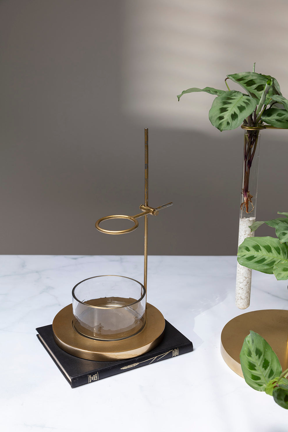 Mendel Collection By Accent Decor | Vases | Modishstore - 5