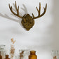 Oakdale Antler Wall Mount By Accent Decor | Wall Decor | Modishstore - 11