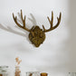 Oakdale Antler Wall Mount By Accent Decor | Wall Decor | Modishstore - 13