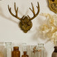 Oakdale Antler Wall Mount By Accent Decor | Wall Decor | Modishstore - 14