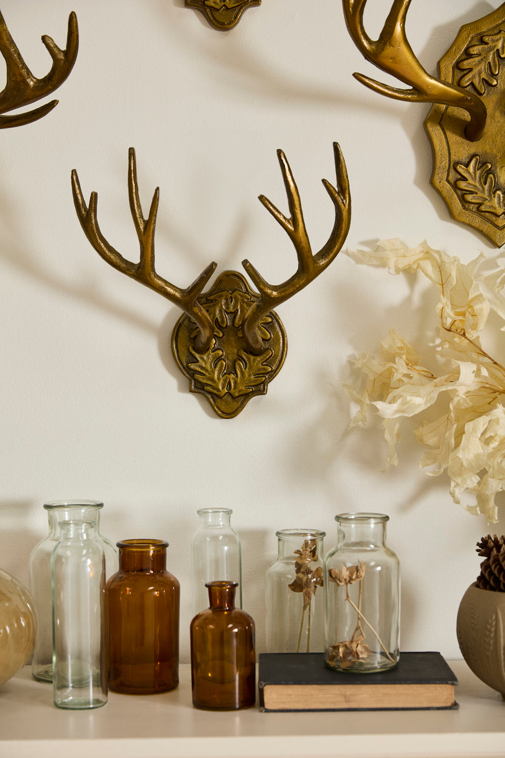 Oakdale Antler Wall Mount By Accent Decor | Wall Decor | Modishstore - 14