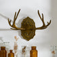 Oakdale Antler Wall Mount By Accent Decor | Wall Decor | Modishstore - 7
