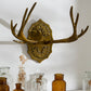 Oakdale Antler Wall Mount By Accent Decor | Wall Decor | Modishstore - 8