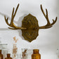 Oakdale Antler Wall Mount By Accent Decor | Wall Decor | Modishstore - 9