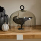 Nevermore Figurine Set of 4 By Accent Decor | Figurines | Modishstore - 10
