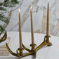 Elegant Antler Candleholder Set of 2 By Accent Decor | Candle Holders | Modishstore - 8