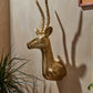 Antelope Head By Accent Decor | Wall Decor | Modishstore - 4