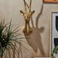 Antelope Head By Accent Decor | Wall Decor | Modishstore - 5