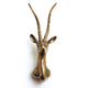 Antelope Head By Accent Decor | Wall Decor | Modishstore - 2 - Antelope Head By Accent Decor
