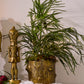 Winter Forest Planter By Accent Decor | Planters, Troughs & Cachepots | Modishstore - 5
