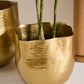 Novella Pot By Accent Decor | Planters, Troughs & Cachepots | Modishstore - 5