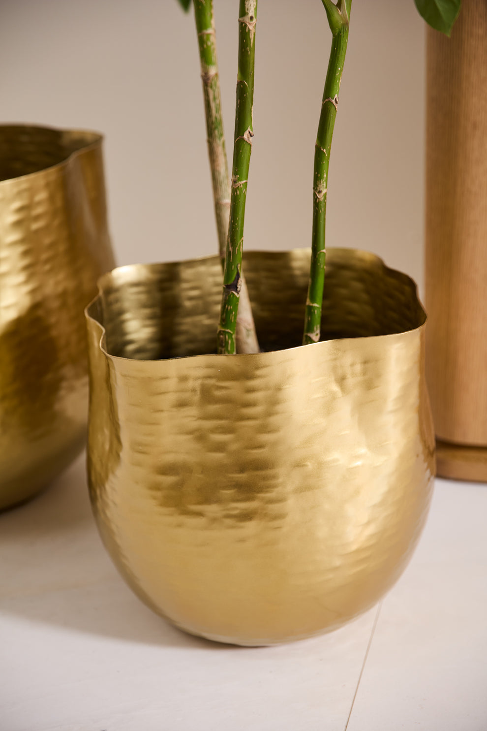 Novella Pot By Accent Decor | Planters, Troughs & Cachepots | Modishstore - 5