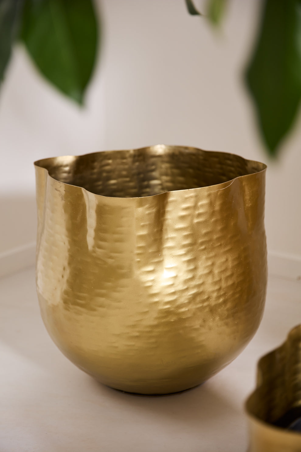 Novella Pot By Accent Decor | Planters, Troughs & Cachepots | Modishstore - 7