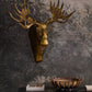 E+E Avery Wall Mount By Accent DŽcor
