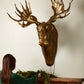 E+E Avery Wall Mount By Accent DŽcor