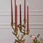 E+E Frankie Candelabra By Accent Decor | Candelabra | Modishstore - 5