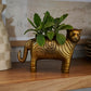 Tiger Pot Set of 2 By Accent Decor | Planters, Troughs & Cachepots | Modishstore - 4