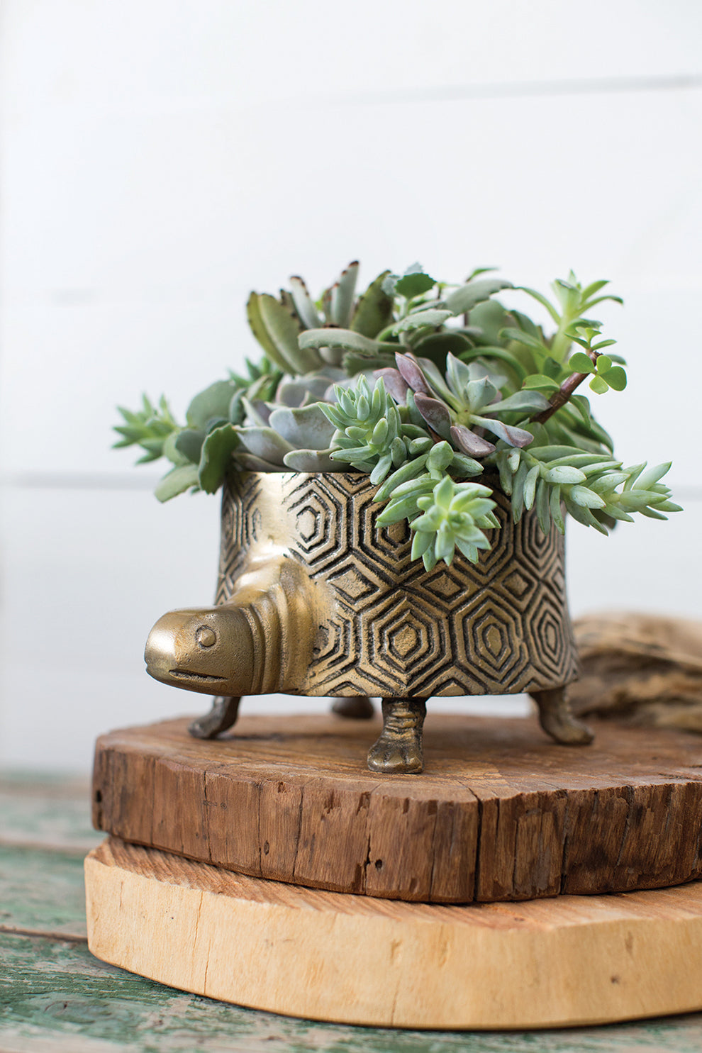 Tommie Turtle Pot Set of 2 By Accent Decor | Planters, Troughs & Cachepots | Modishstore - 7