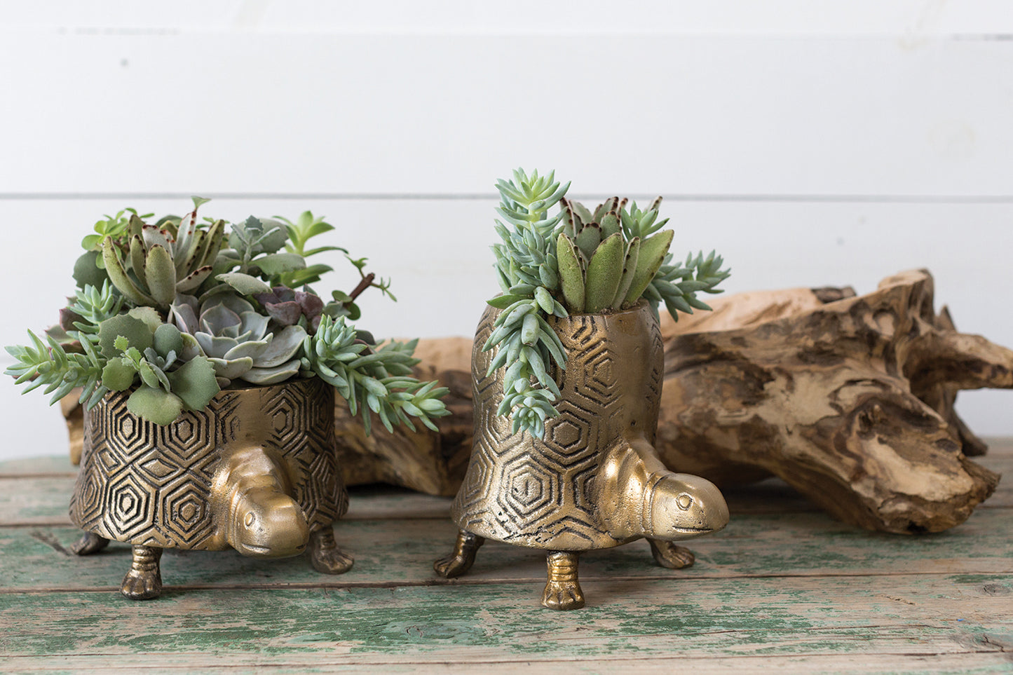 Tommie Turtle Pot Set of 2 By Accent Decor | Planters, Troughs & Cachepots | Modishstore - 9