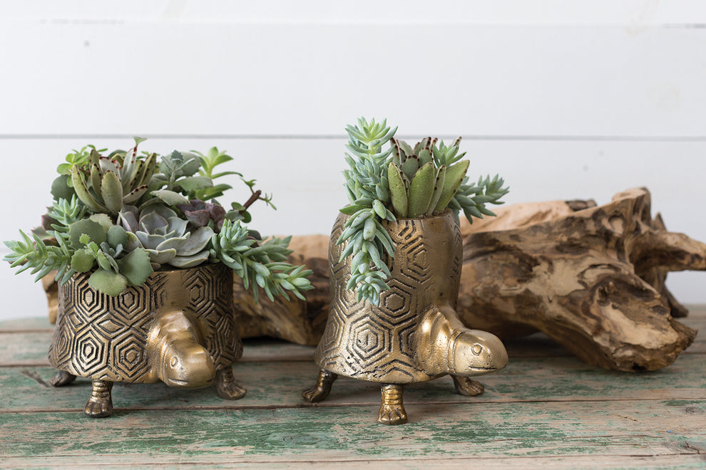 Tommie Turtle Pot Set of 2 By Accent Decor | Planters, Troughs & Cachepots | Modishstore - 9
