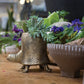 Tommie Turtle Pot Set of 2 By Accent Decor | Planters, Troughs & Cachepots | Modishstore - 11