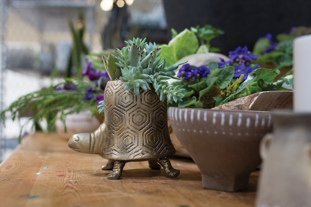 Tommie Turtle Pot Set of 2 By Accent Decor | Planters, Troughs & Cachepots | Modishstore - 11