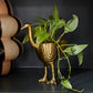 Ostrich Pot Set of 2 By Accent Decor | Planters, Troughs & Cachepots | Modishstore - 4