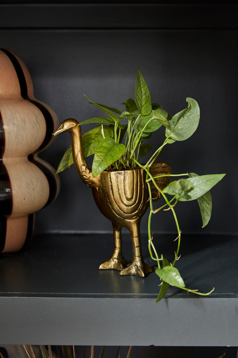 Ostrich Pot Set of 2 By Accent Decor | Planters, Troughs & Cachepots | Modishstore - 4