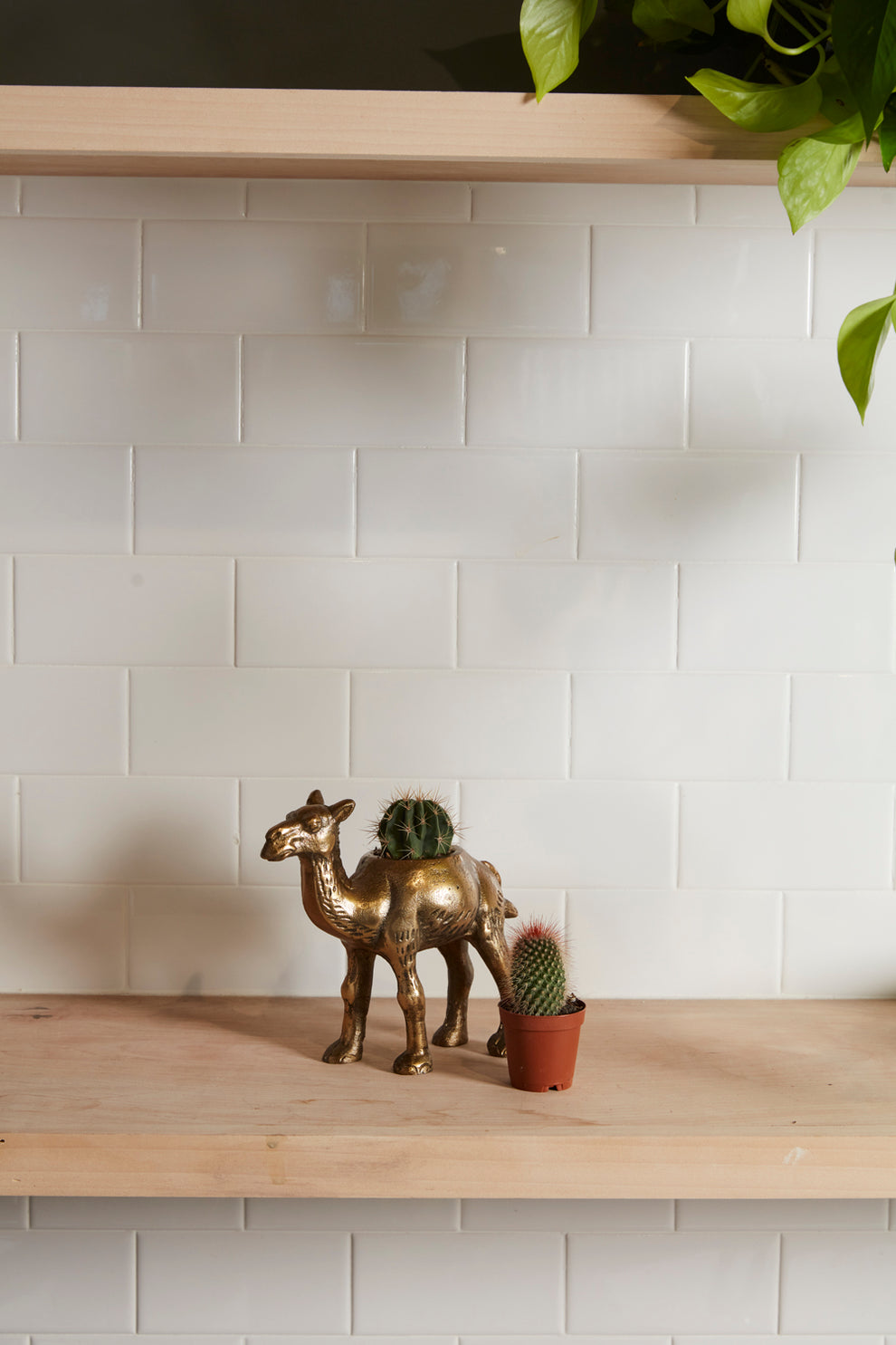 Camel Planter Set of 2 By Accent Decor | Planters, Troughs & Cachepots | Modishstore - 4