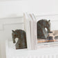 Equina Bookend - Set of 2 By Accent Decor | Wall Decor | Modishstore - 8