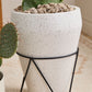 Holcomb Planter By Accent Decor | Planters, Troughs & Cachepots | Modishstore - 6