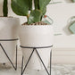 Holcomb Planter By Accent Decor | Planters, Troughs & Cachepots | Modishstore - 7
