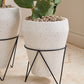 Holcomb Planter By Accent Decor | Planters, Troughs & Cachepots | Modishstore - 8